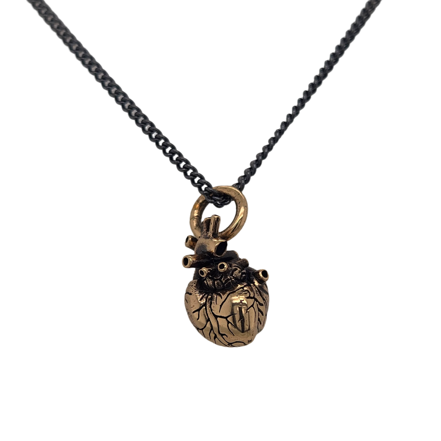 Anatomical Heart Necklace