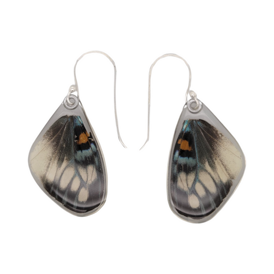 Day Flying Moth Wing Earrings