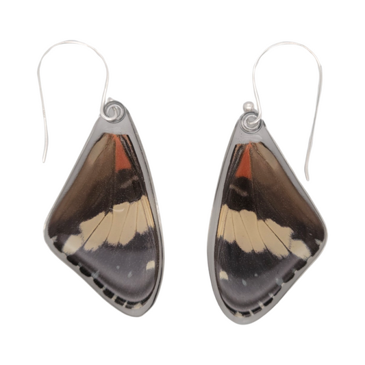 Red Cracker Butterfly Wing Earrings