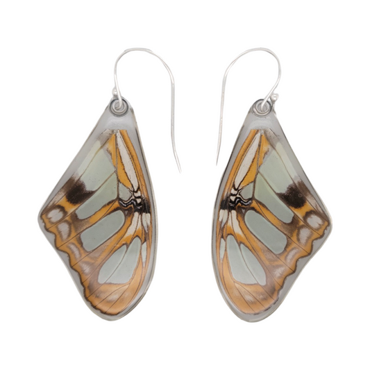 Siproeta Stelenies Wing Earrings