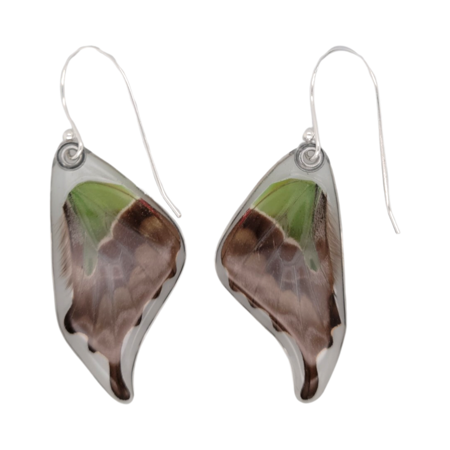 Spotted Swallowtail Wing Earrings