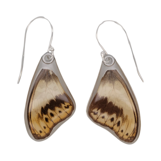 Hermina Glider Butterfly Wing Earrings