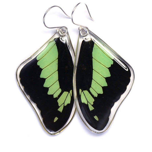 Apple Green Swallowtail Top Bottom Earrings