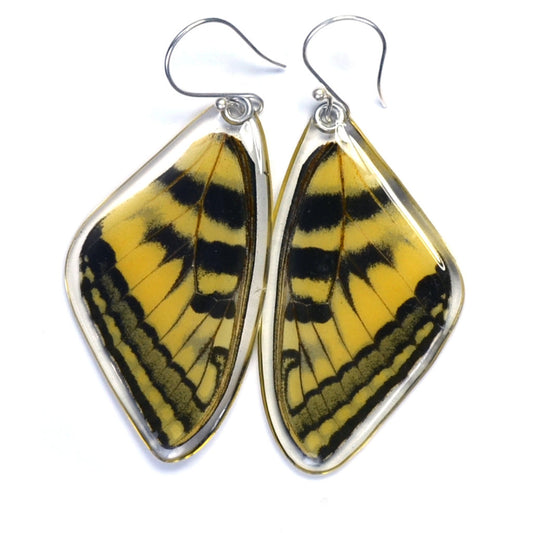 Eastern Tiger Swallowtail Top Wing Earrrings