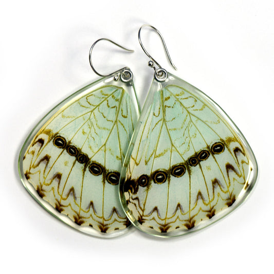 Mint Morpho Bottom Wing Earrings