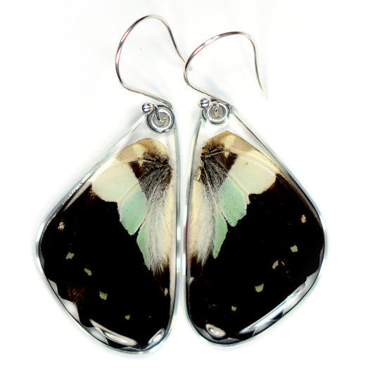 Pale Green Triangle Bottom Wing Earrings