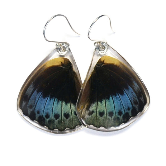 Archduke Bottom Wing Earrings