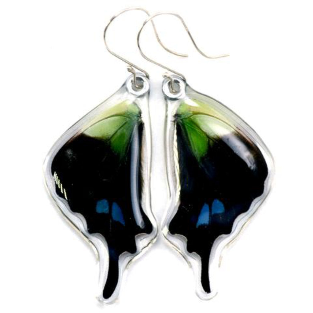 Purple Spotted Swallowtail Bottom Wing Earrings