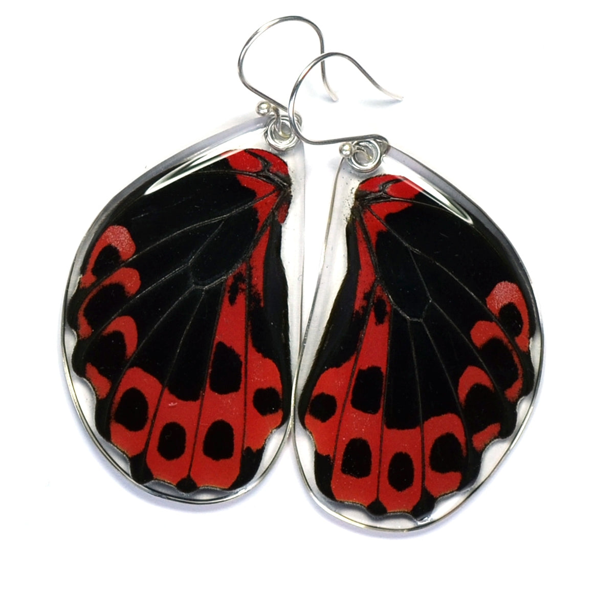 Scarlet Mormon Bottom Wing Earrings