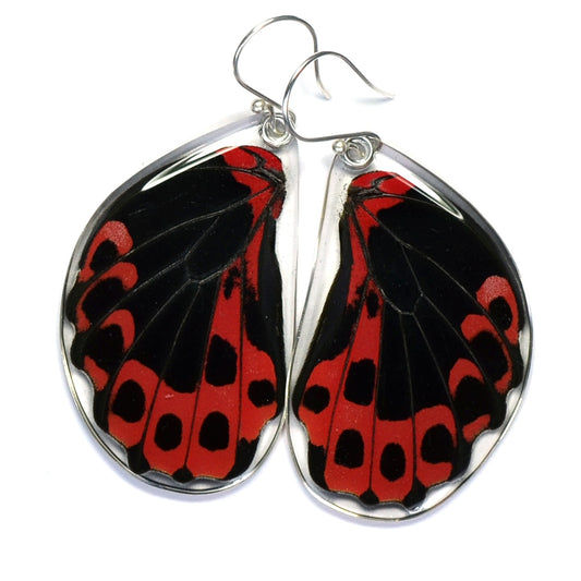 Scarlet Mormon Bottom Wing Earrings