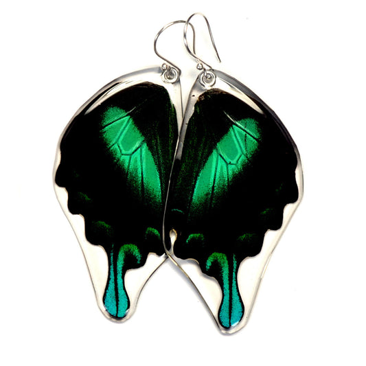 Peacock Swallowtail Bottom Wing Earrings