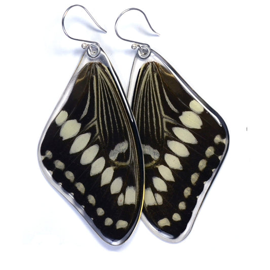 Central Emperor Swallowtail Top Wing Earrings