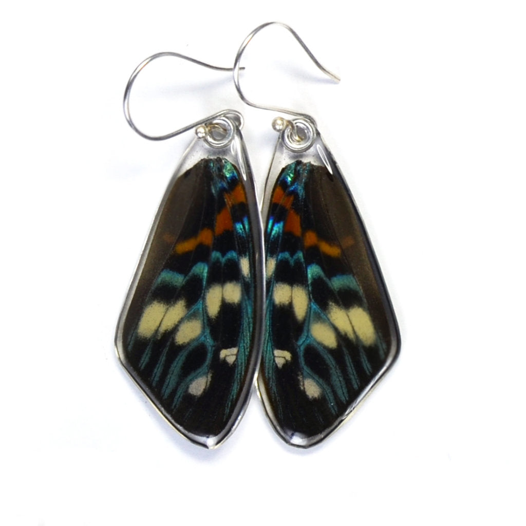 Day Flying Moth Top Wing Earrings